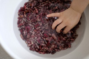 Sensory Activity Beans Rice Nuts Find time to yourself Mommy Time Toddler Preschooler