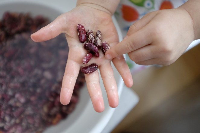 Sensory Activity Beans Rice Nuts Find time to yourself Mommy Time Toddler Preschooler