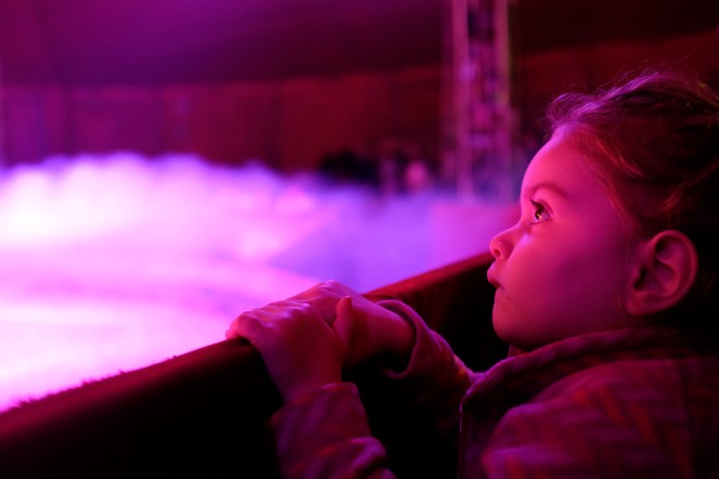 Oscarorfei circus fog