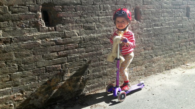 Micro Mini Deluxe Kick Scooter