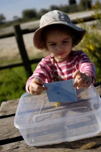 Sunprint Sun Art Sun Prints Sunhat Sun Hat Sunday Afternoons: Sun Protection Hat Experts