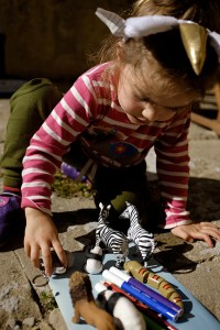 Sun Prints Sun Art Sunprint Kit Animals Zebra Lion Panda Snake Markers Unicorn