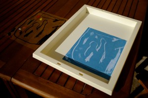 Sunprint Transparency Sun Prints Sun Art Sunprint Kit Chalk Markers