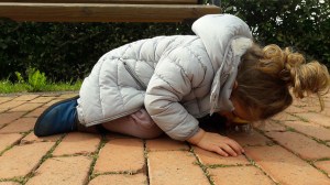 Edu-Toys Two Way Bug Viewer, 4x, 6x