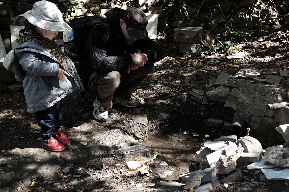 releasing rescued frog into a stream