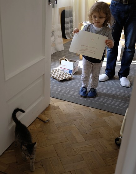 rescued kitten Tbilisi Georgia