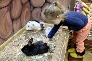 Petting a bunny at the petting zoo in Tbilisi, Georgia