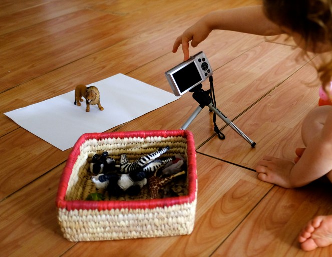 Camera power switch toy lion